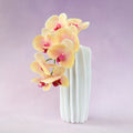 Artificial Real Touch Orchid (48)