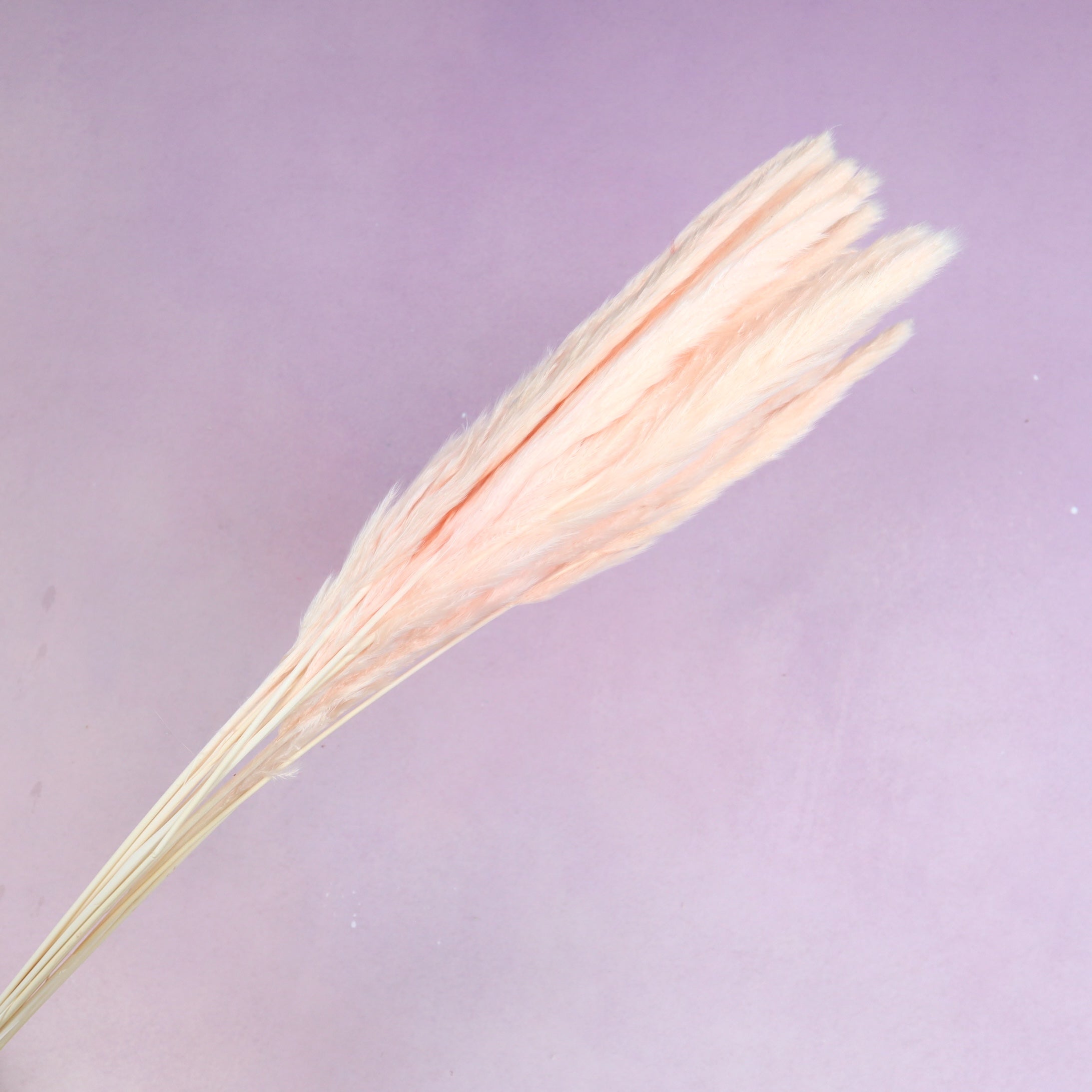 Fluffy Stick Light Peach