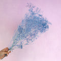 Snowy Baby's Breath Sea Blue