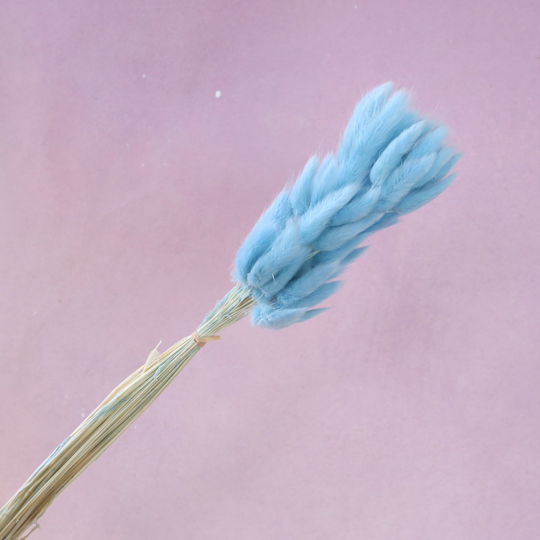 Bunny Tails Sky Blue