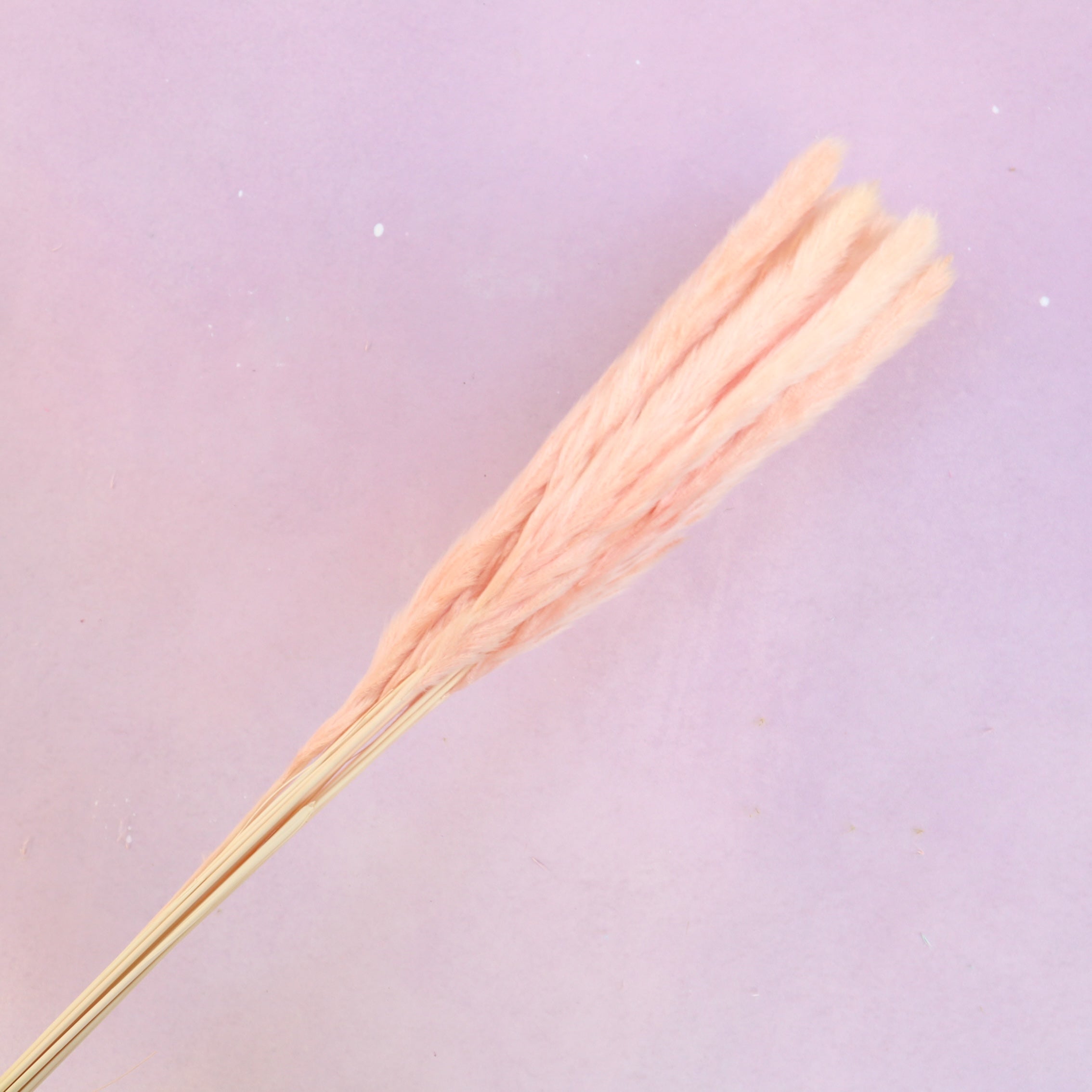 Fluffy Stick Coral Pink