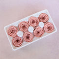 Rose Dusty Pink 8 heads