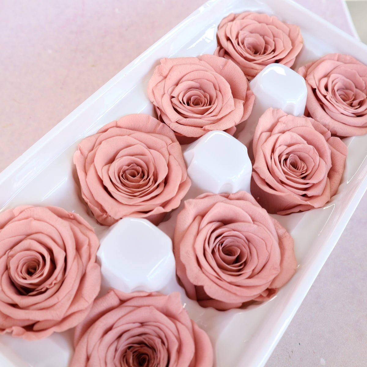 Rose Dusty Pink 8 heads