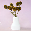 Scabiosa Mustard Olive