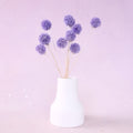 Scabiosa Purple