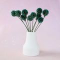 Scabiosa Teal