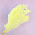 Ming Fern Lemon Yellow