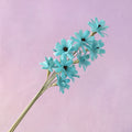 Handmade Daisy Aqua