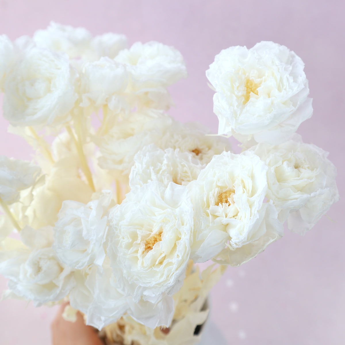 Bleached White Austin Rose Bunch