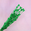Nigella Green