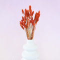 Gem Grass Rust Orange