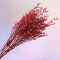 Misty Red