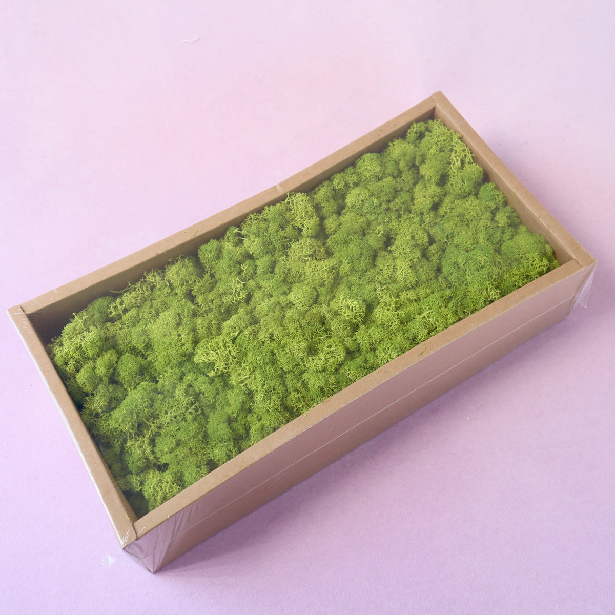 Moss Olive Green