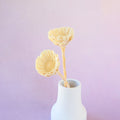 Quasi Sunflower White
