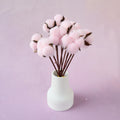Cotton 10 stems Pink