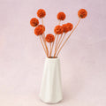 Scabiosa Electric Orange