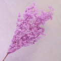 Ming Fern Neon Purple
