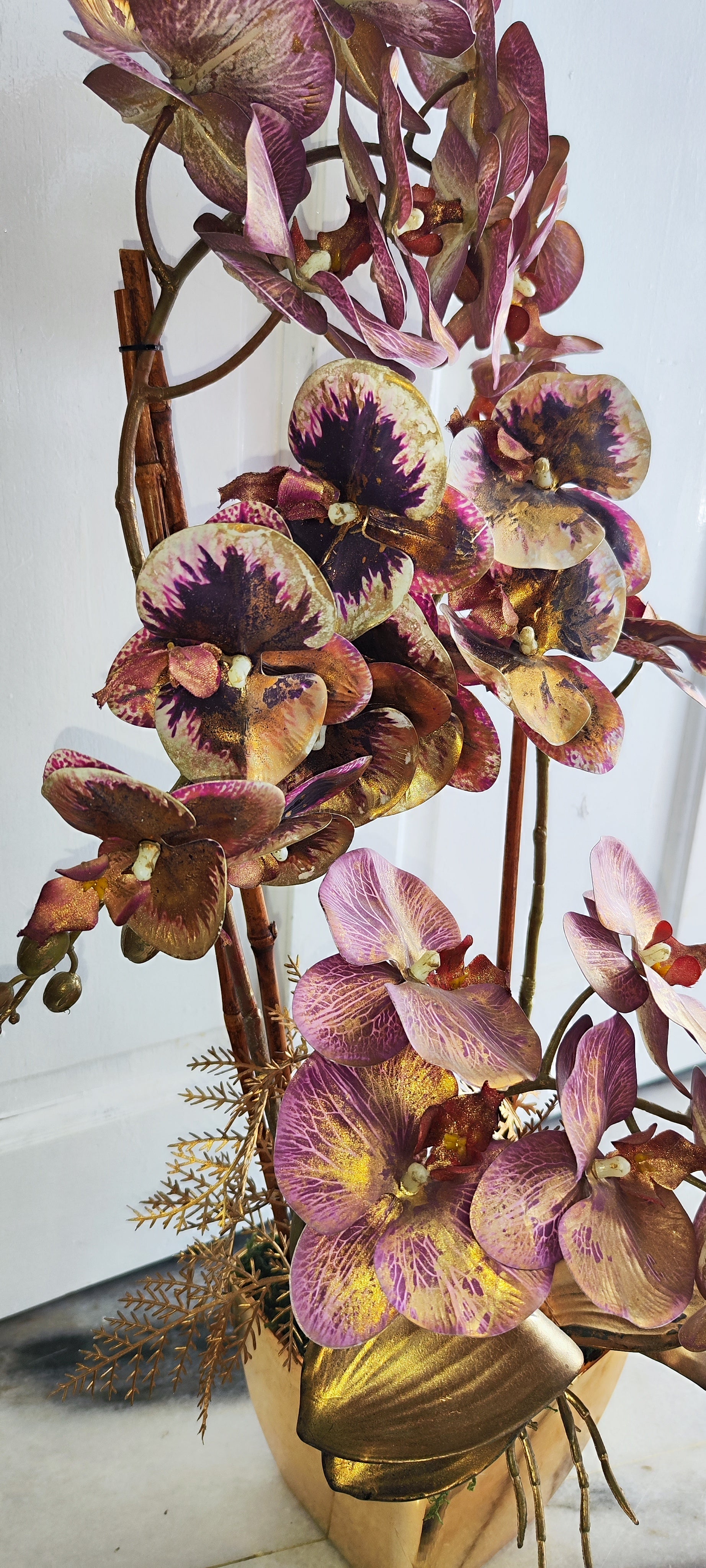 Orchid