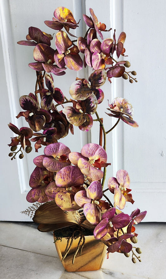 orchid