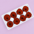 Rose Rust Red 8 Heads