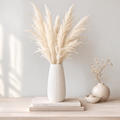 Pampas Grass Creamy White
