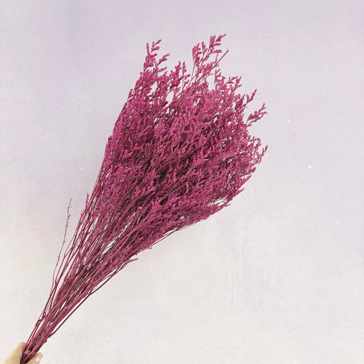 Misty Hot Pink