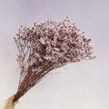Statice Limonium Sinuatum Sakura Pink