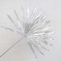 Sun Palm Silver