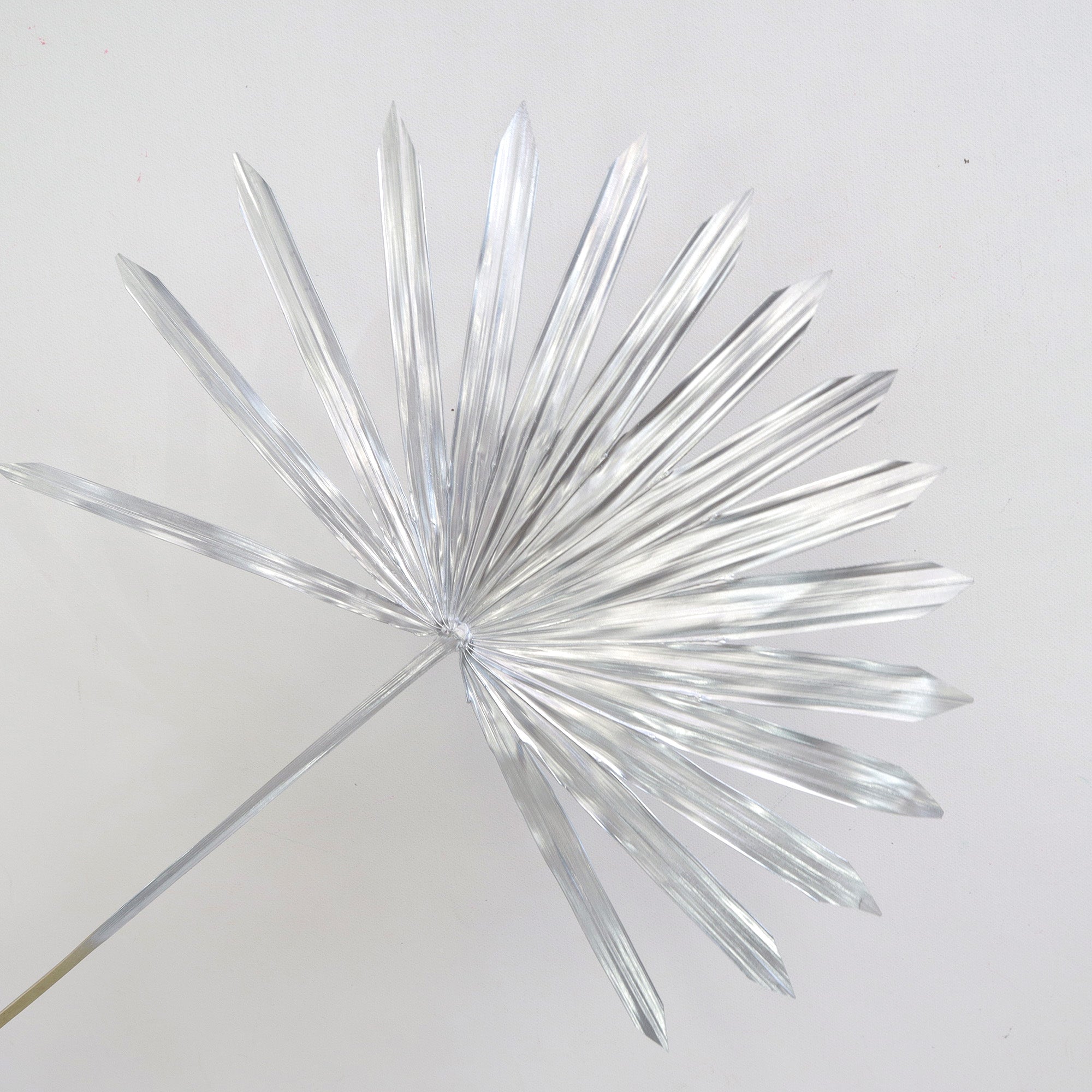 Sun Palm Silver
