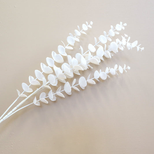 Artificial Dollar Gum White