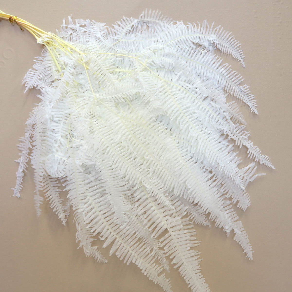 Mountain Fern White