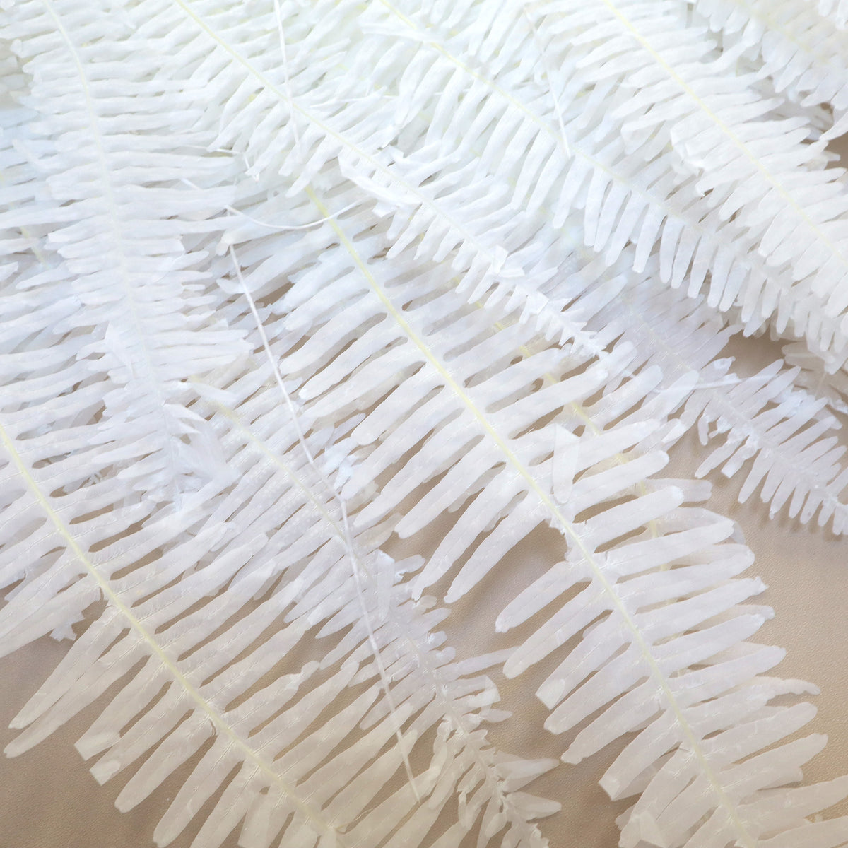 Mountain Fern White
