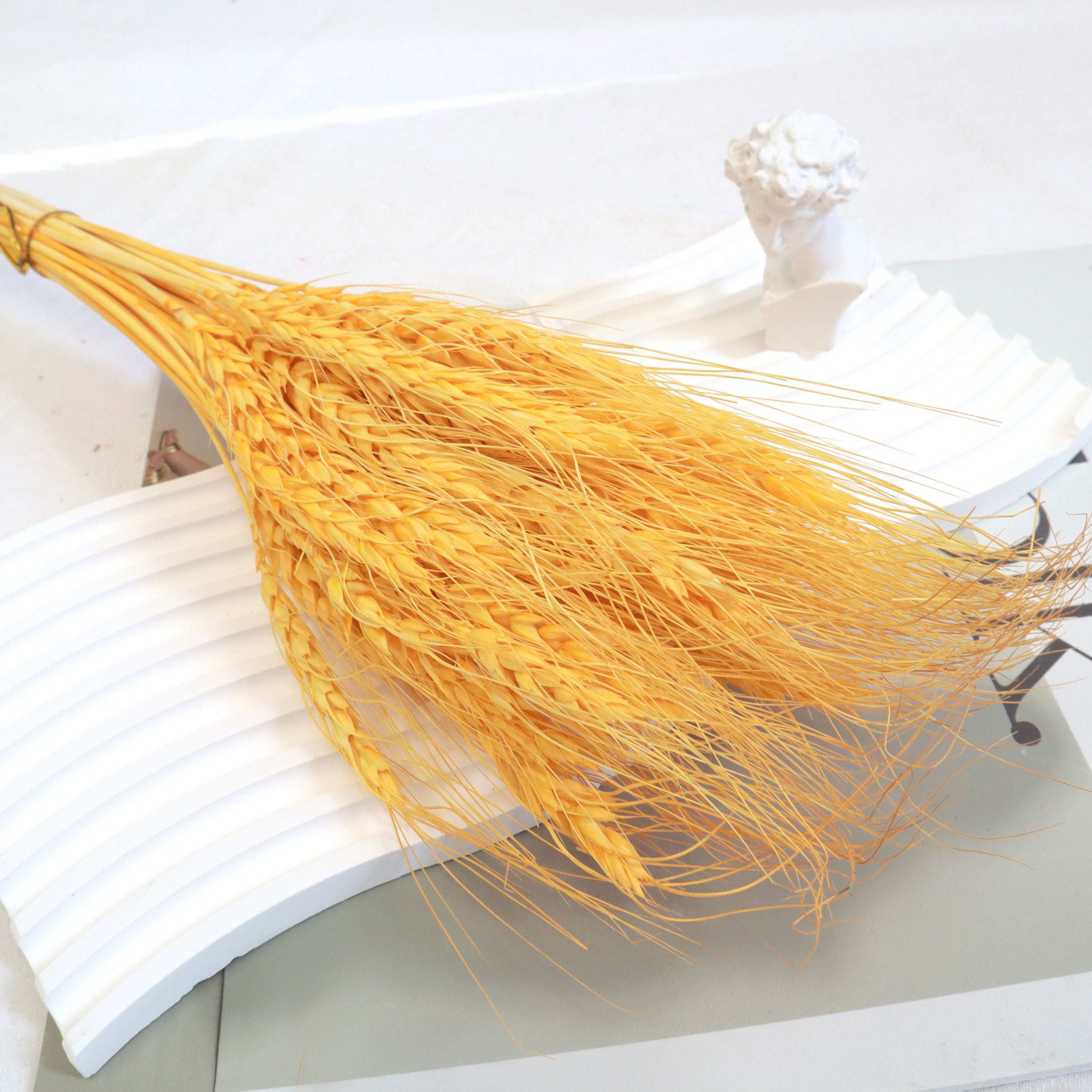 Dried Wheat Orange