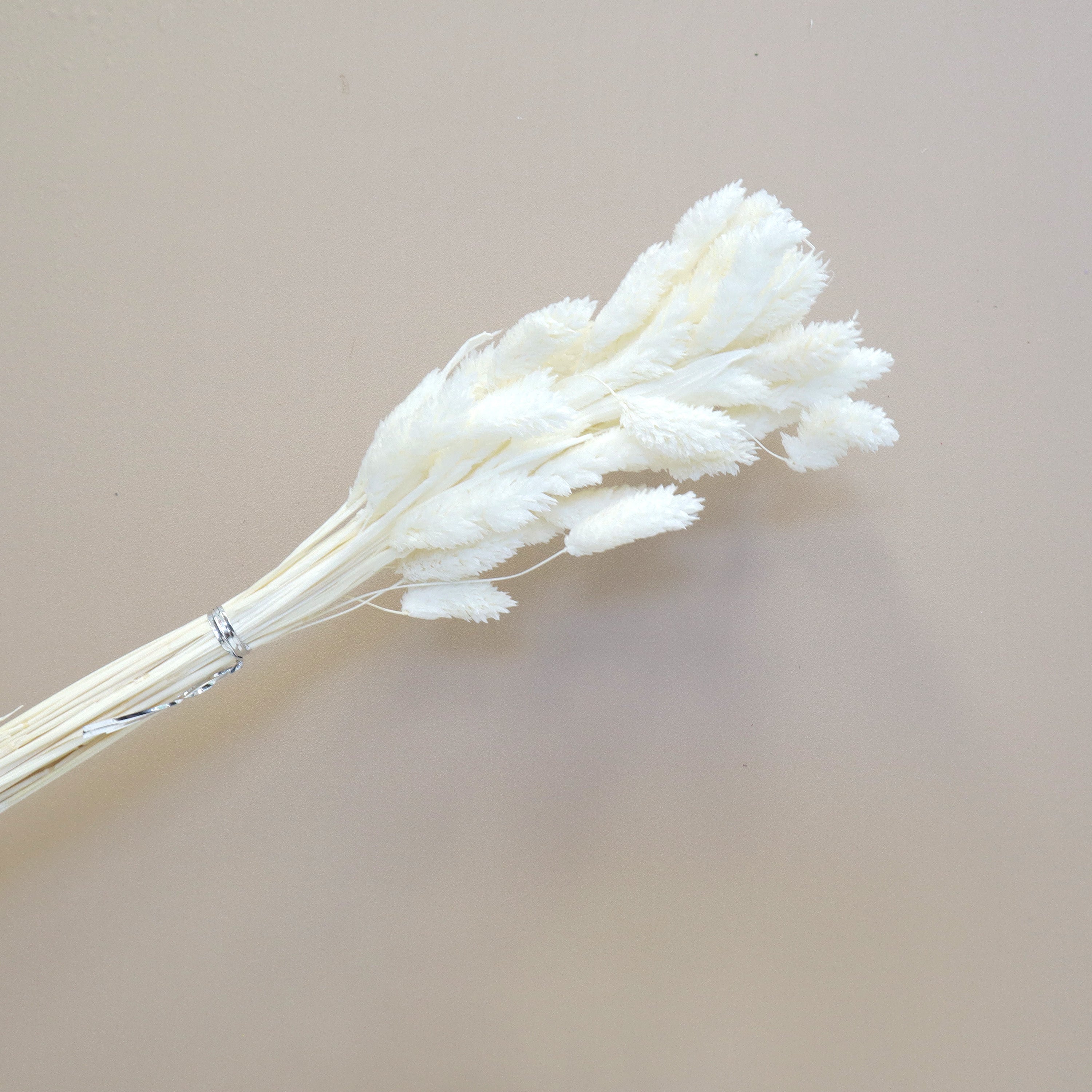 Gem Grass White