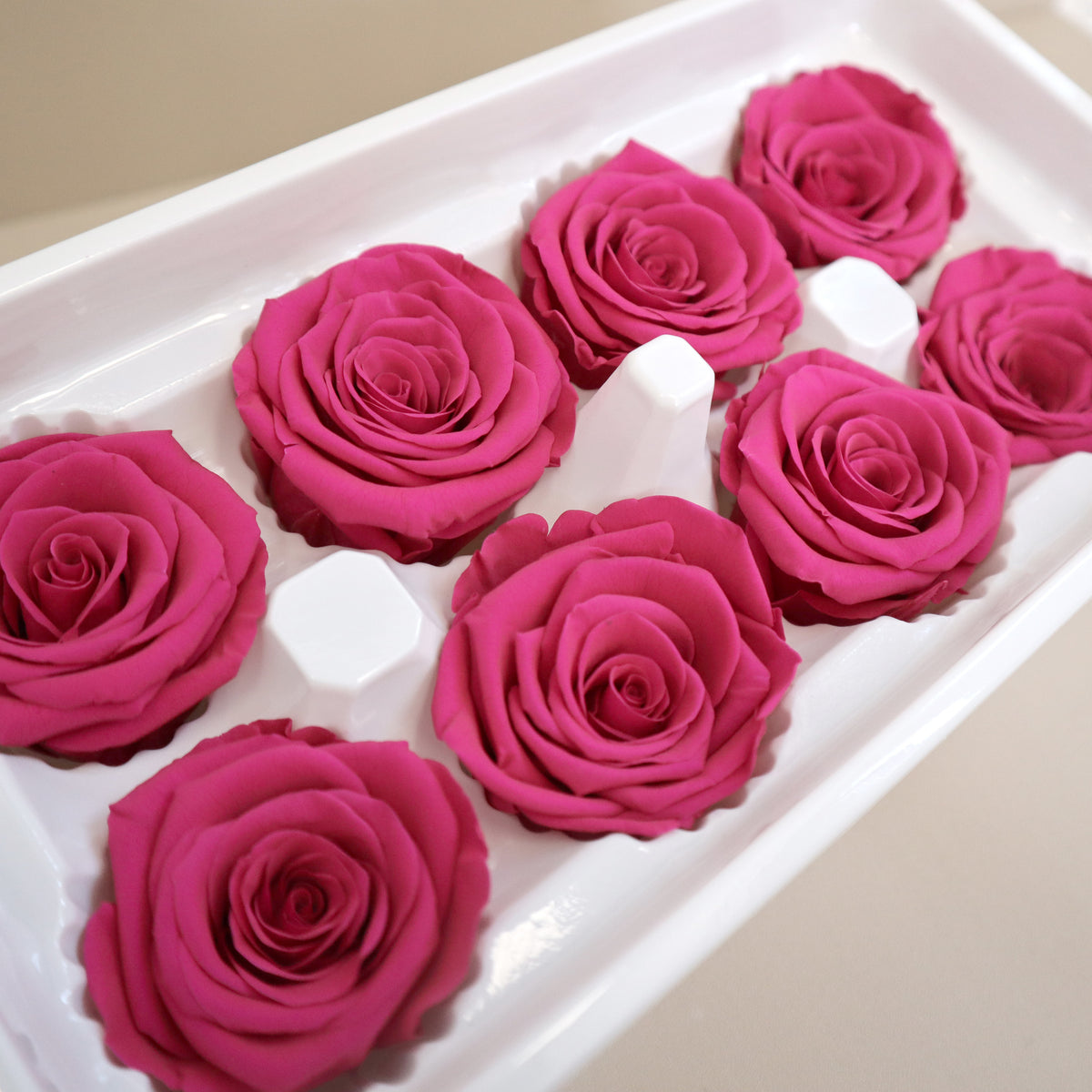 Rose Hot Pink 8 Heads