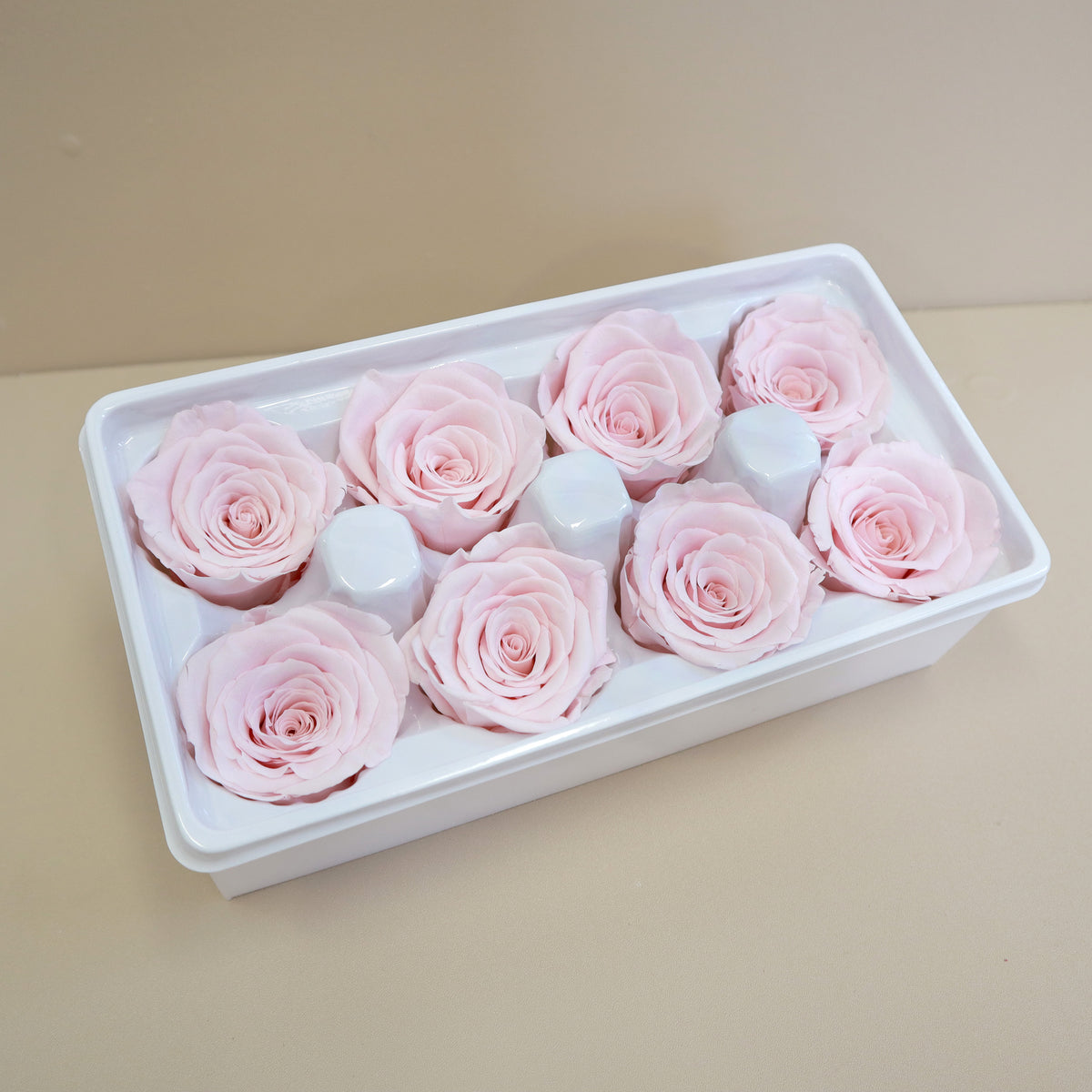 Rose Baby Pink 8 heads