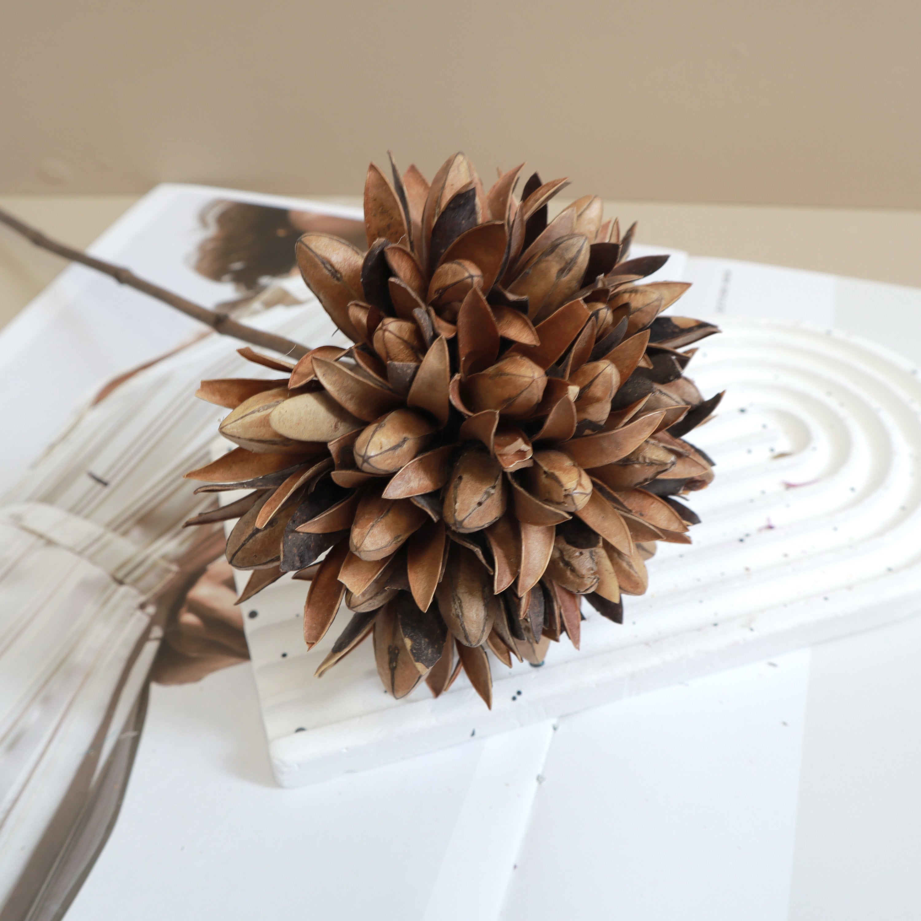 Magnolia Natural
