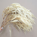 Seeded Gum Creamy White