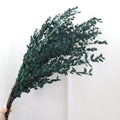 Small Leaf Gum Green