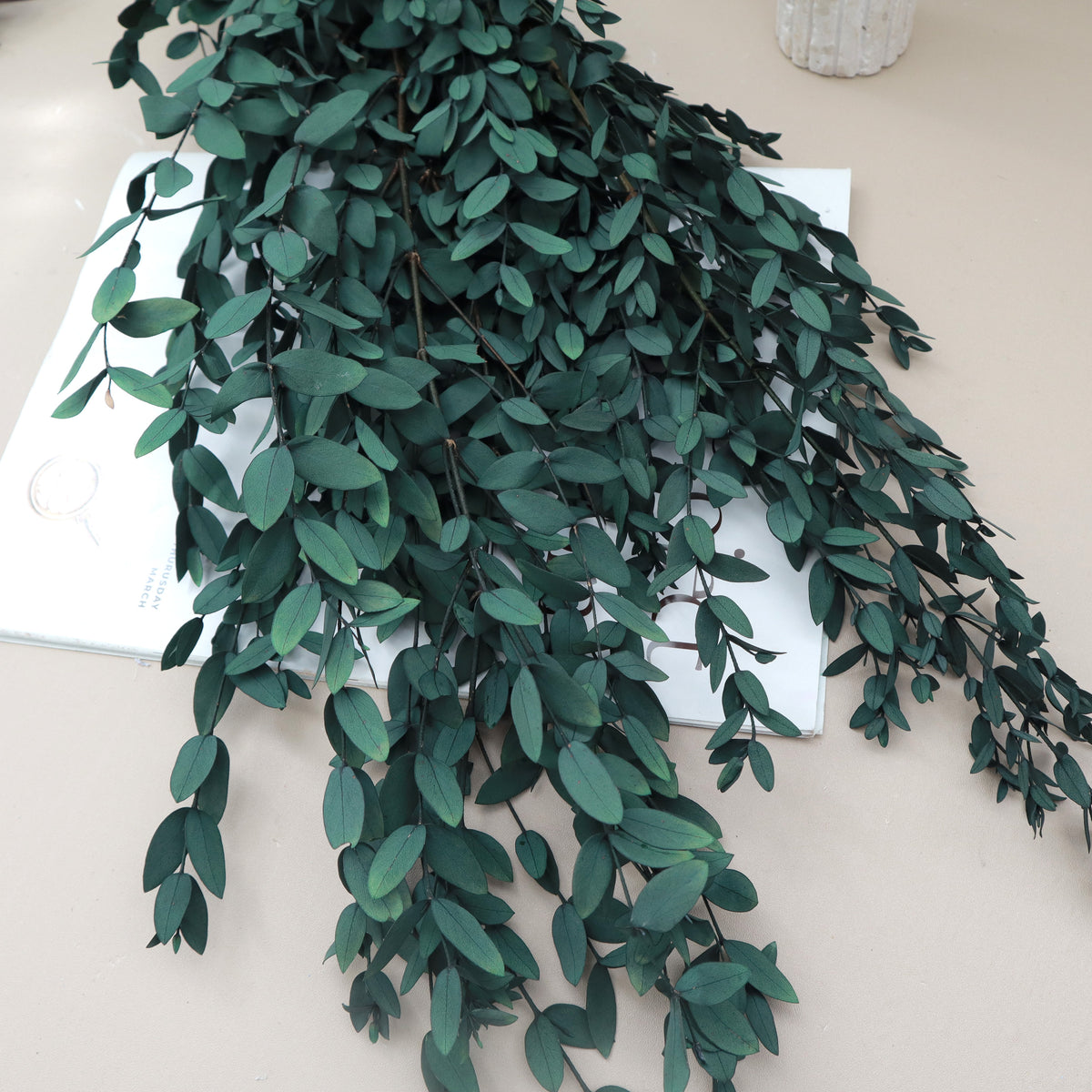 Small Leaf Gum Green