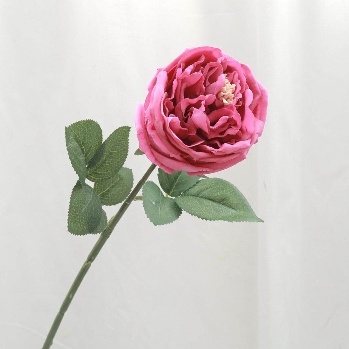 Artificial Real Touch Austin Rose Magenta