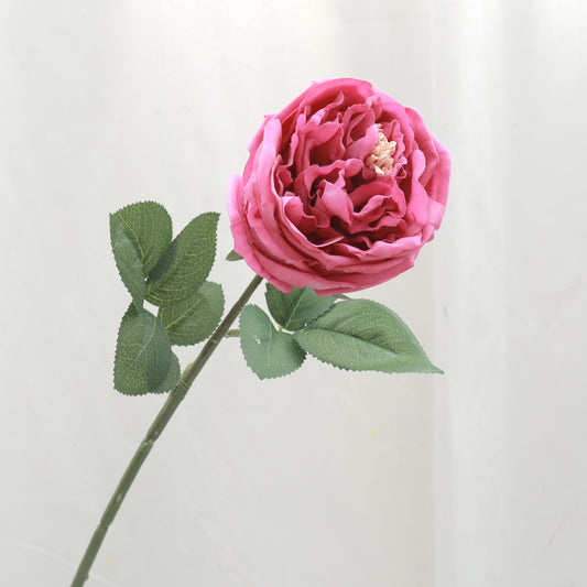 Artificial Real Touch Austin Rose Magenta