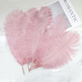 5 pcs Ostrich Feathers Crepe Pink