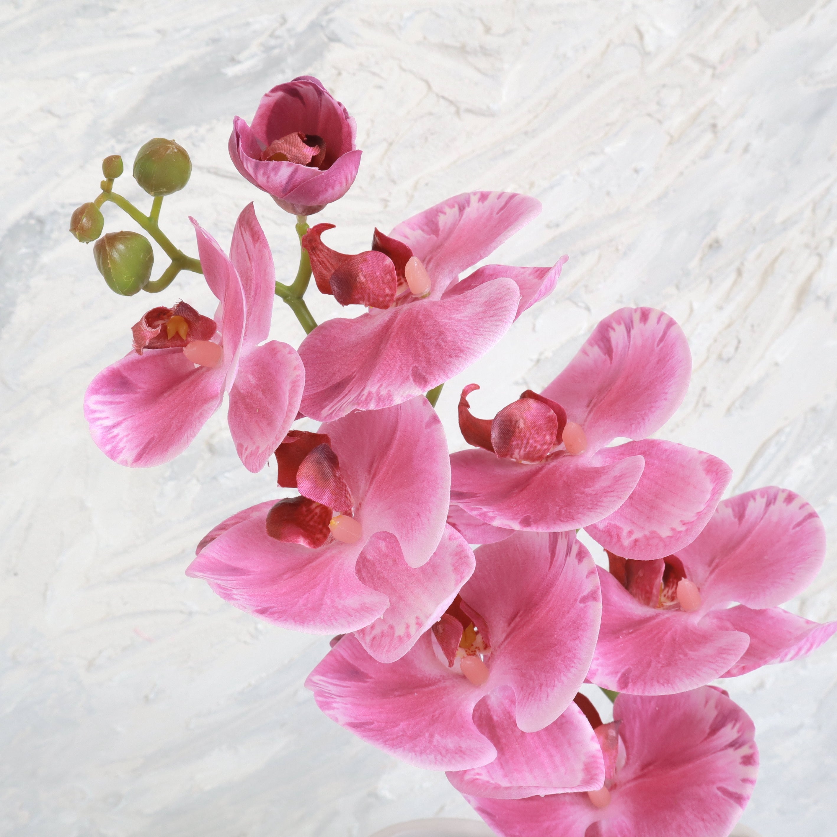 Artificial Real Touch Orchid (24)