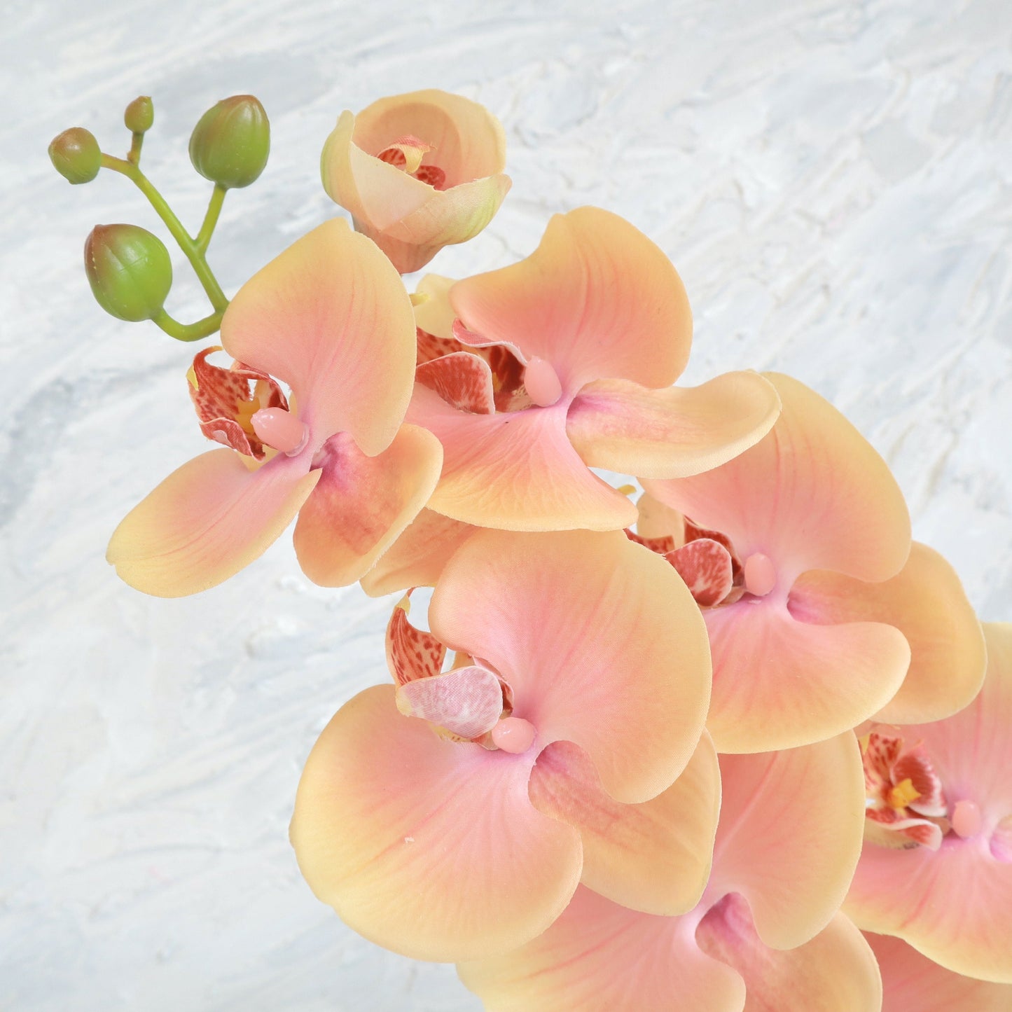 Artificial Real Touch Orchid (04)