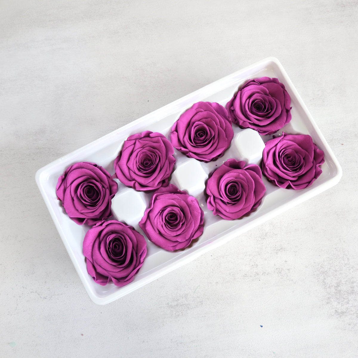 Rose Dark Fuchsia 8 Heads
