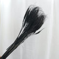 Dried Wheat Black
