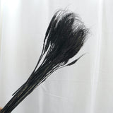 Dried Wheat Black