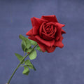 Artificial Real Touch Rose Deep Red