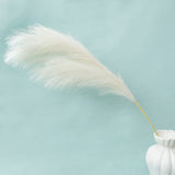 Artificial Pampas Grass Off White